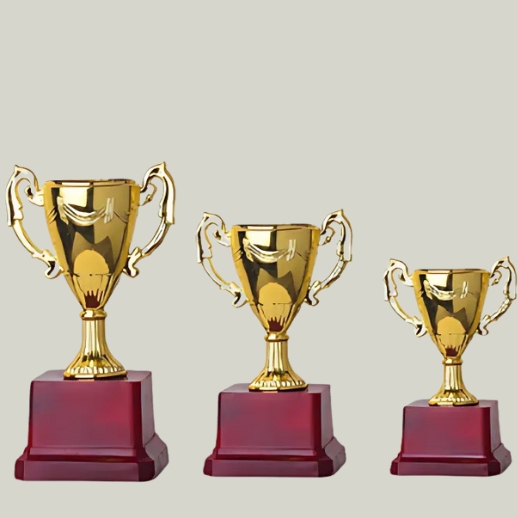 Victory Trophy Set For Sports and Academic