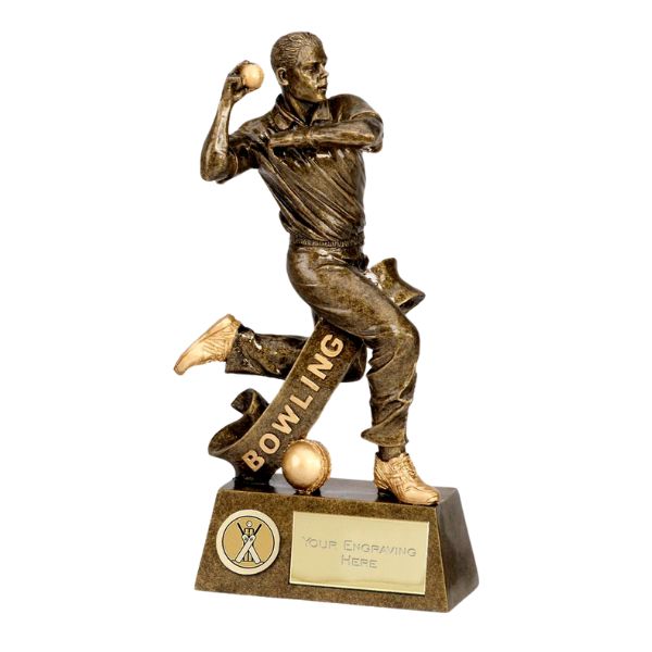 Winning Trophy For Cricket Tournaments