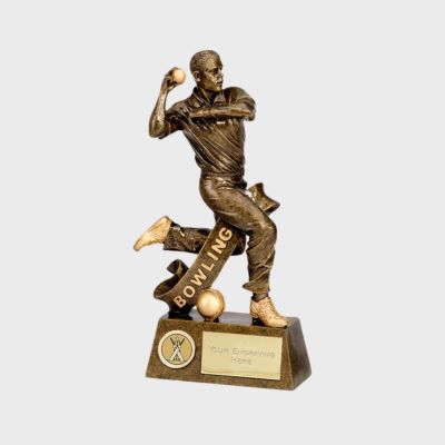 Winning Trophy For Cricket Tournaments