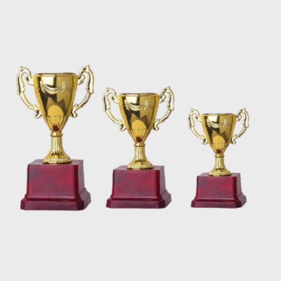 Victory Trophy Set For Sports and Academic